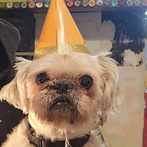 Meet your Posher, Kassie